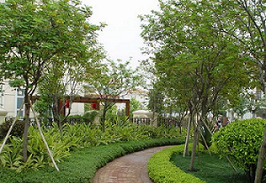 景園苗木與趙君房地產(chǎn)公司合作